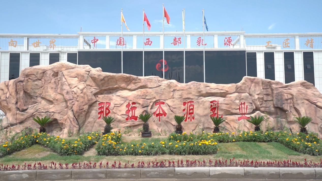 图片 6.png