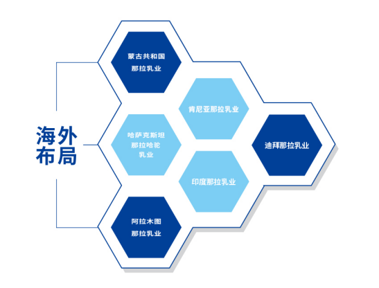 图片 6.png