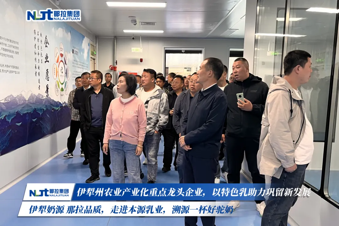 图片 11.png