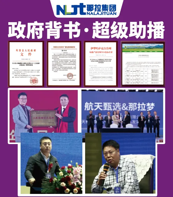 图片 13.png
