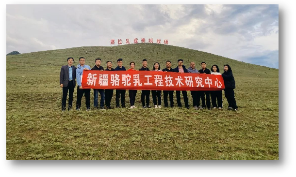 图片 9.png