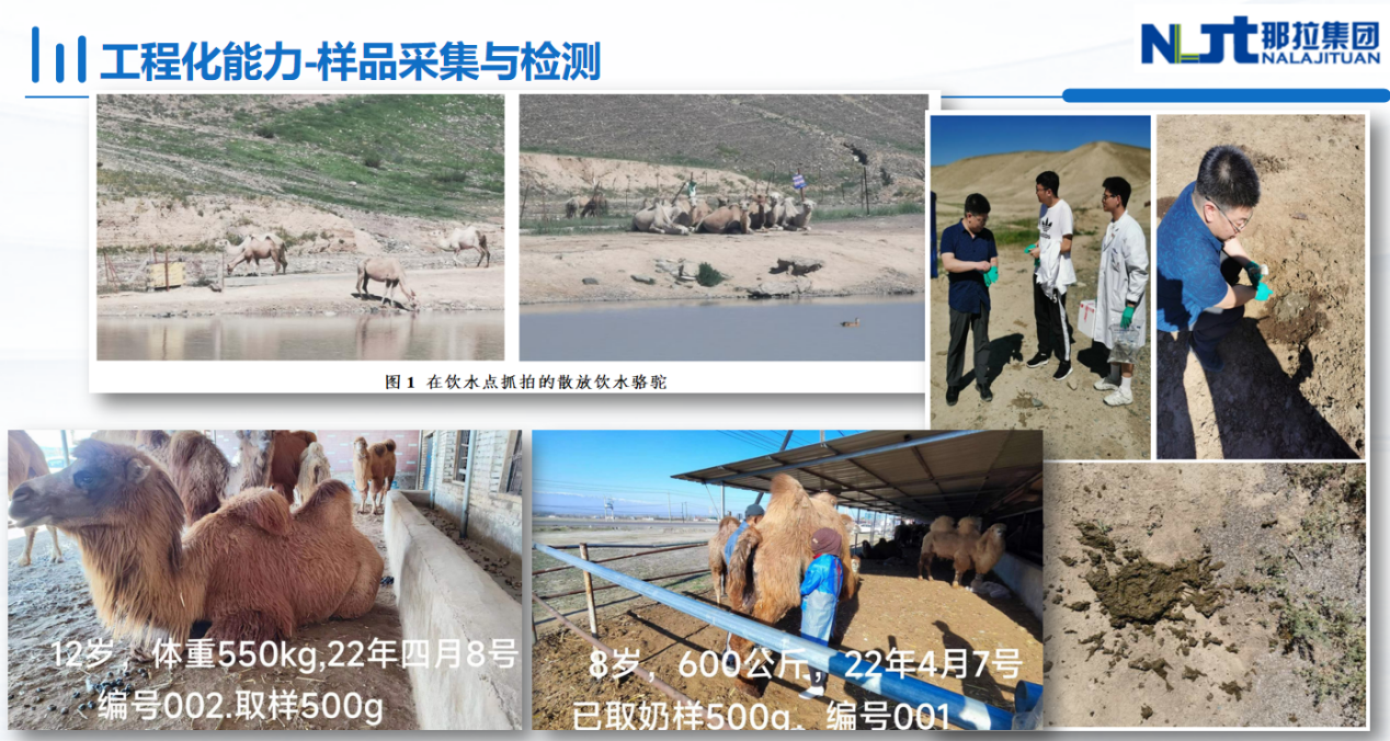 图片 10.png