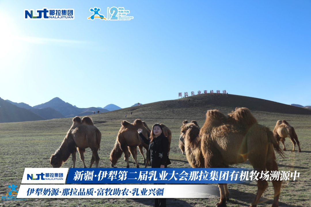 1741827944158067.png 图片 6.png