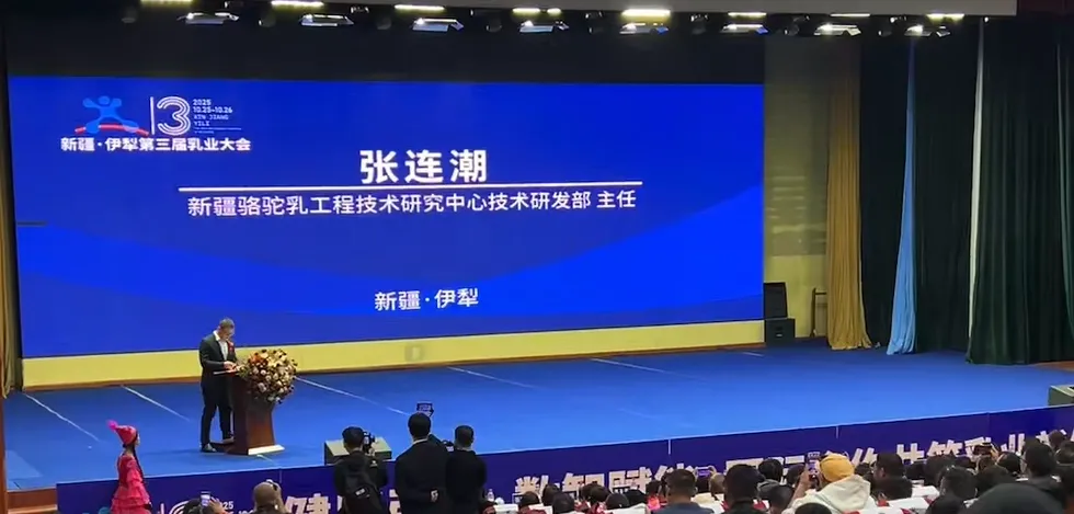 1761617209916962.png 图片 8.png