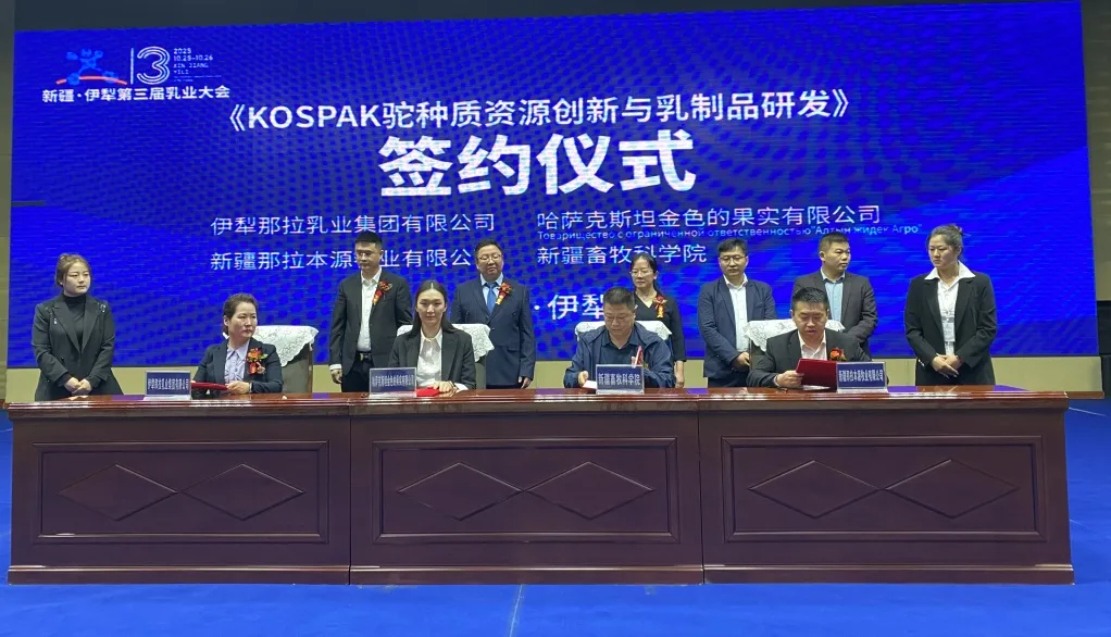 1761617259843378.png 图片 14.png