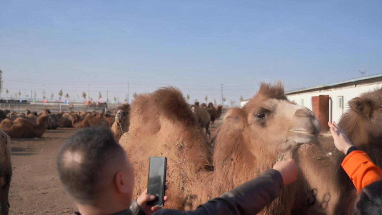 1761617356541784.png 图片 27.png