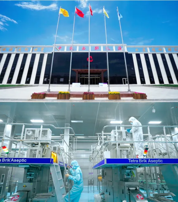 1761617431762018.png 图片 31.png