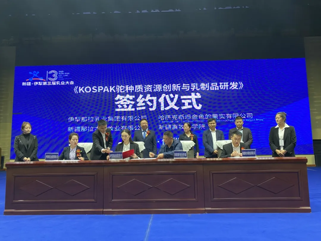 1761617553874342.png 图片 6.png