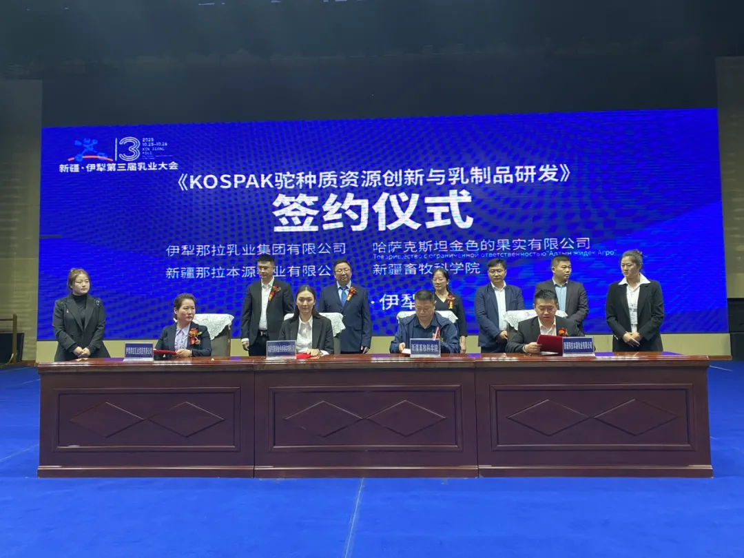 1761617573470882.png 图片 7.png