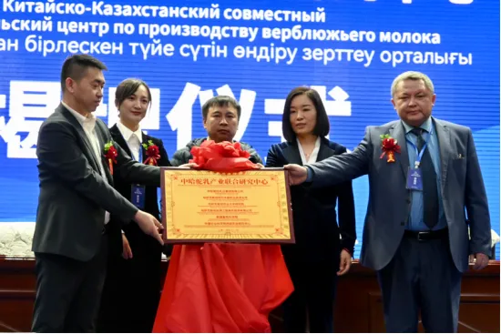 1761617585371247.png 图片 9.png