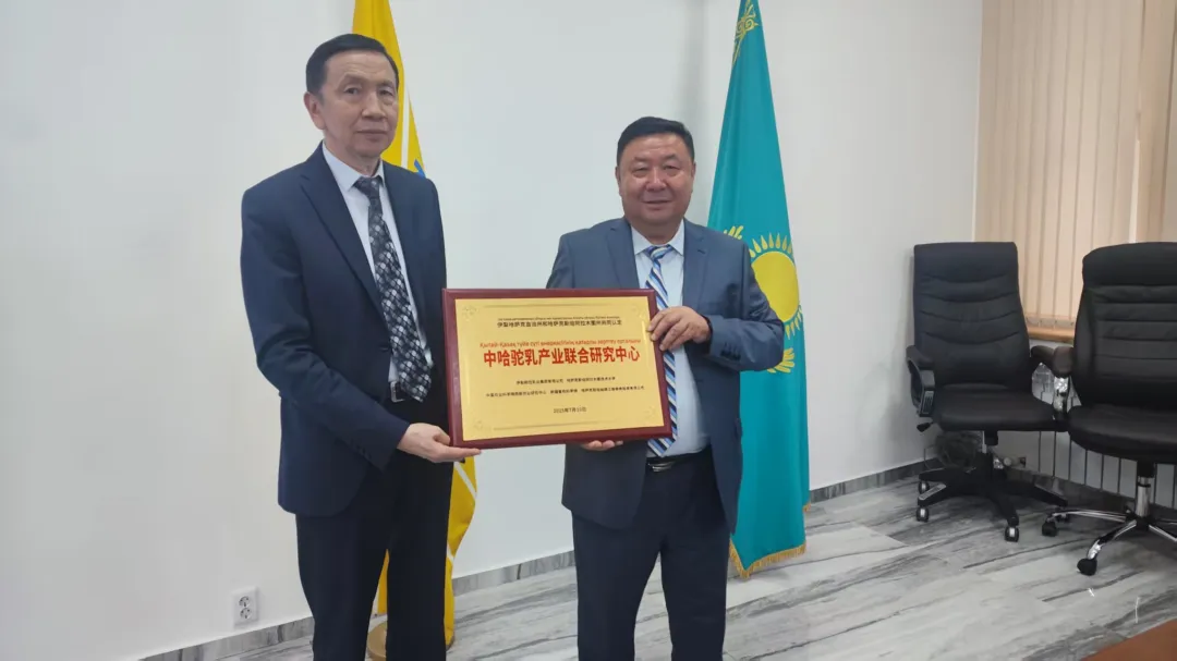 1761617592677916.png 图片 10.png