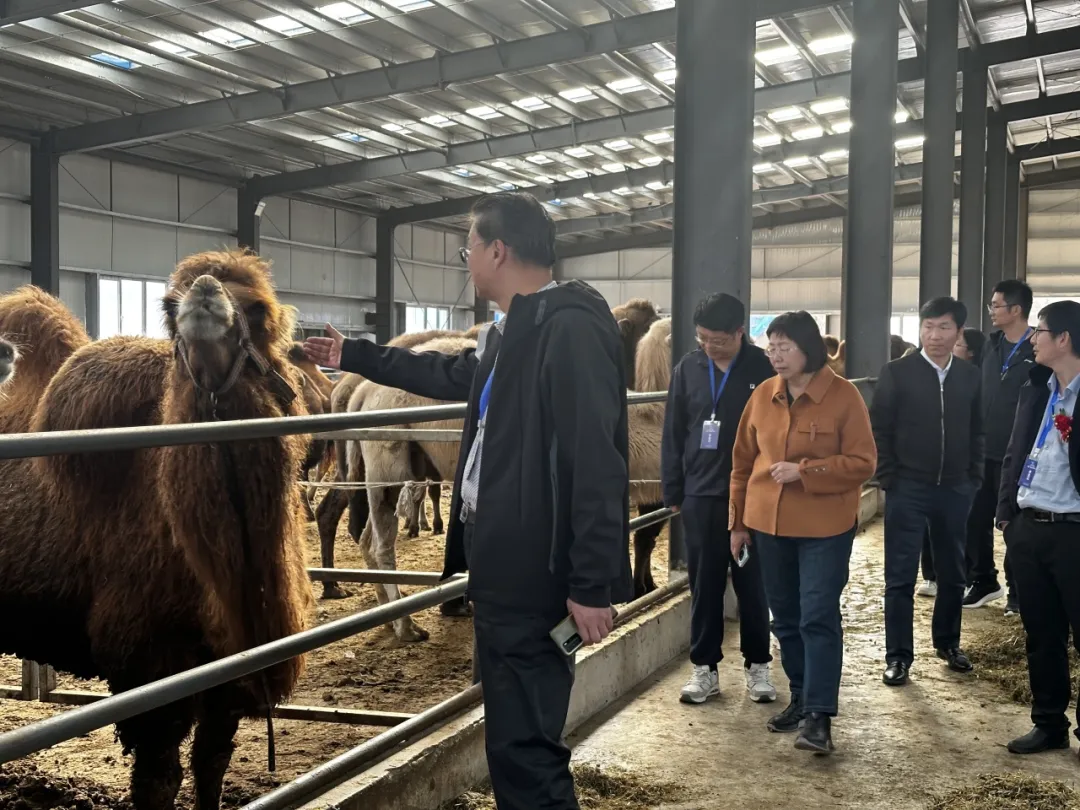 1761617626719318.png 图片 15.png