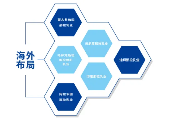 图片 7.png