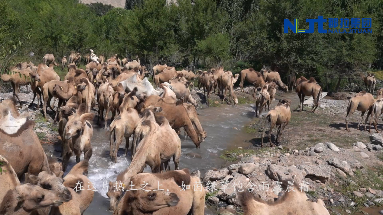 1776304289419077.png 图片 4.png