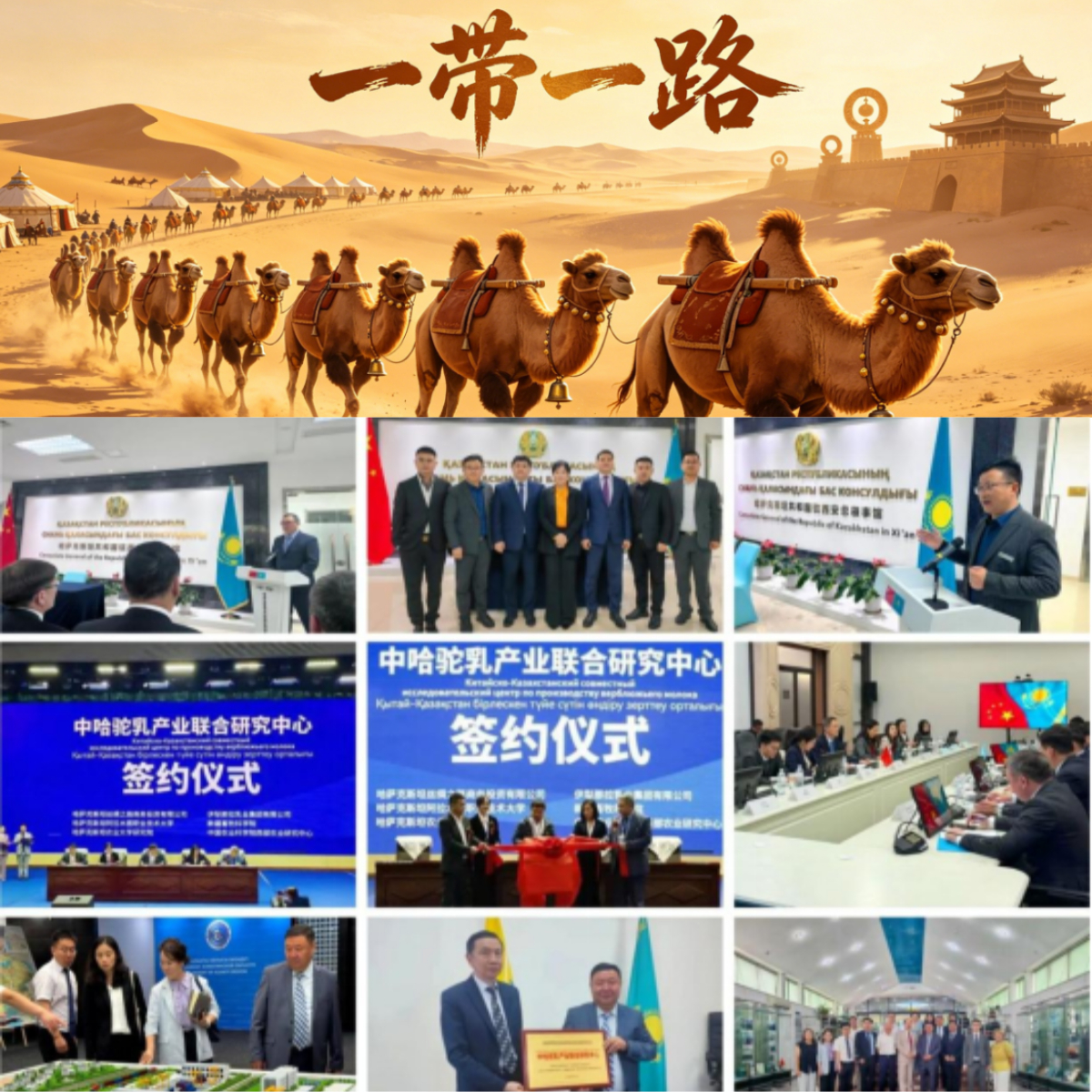 图片 5.png