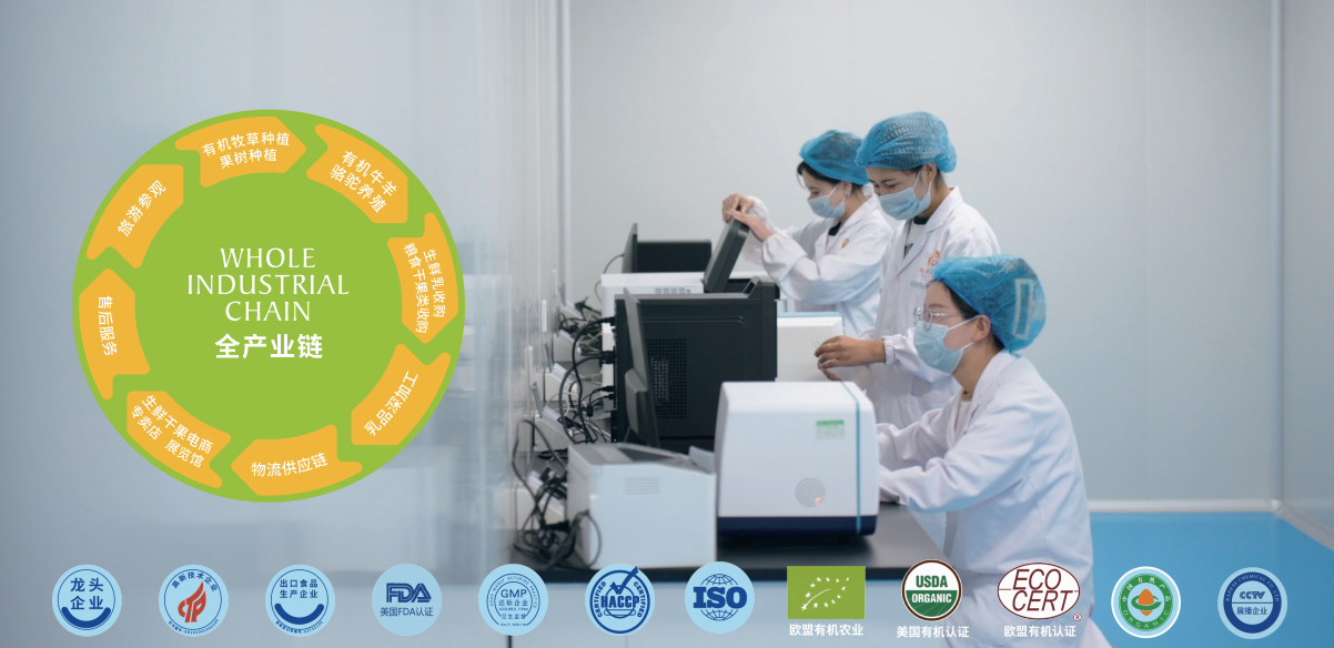 图片 5.png