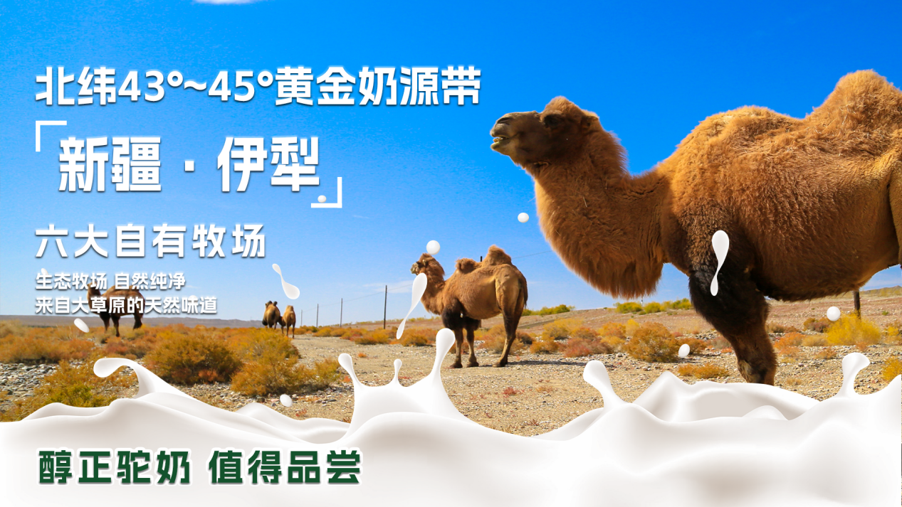 图片 4.png