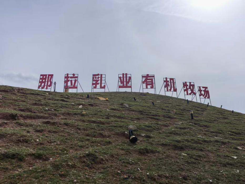 图片 5.png