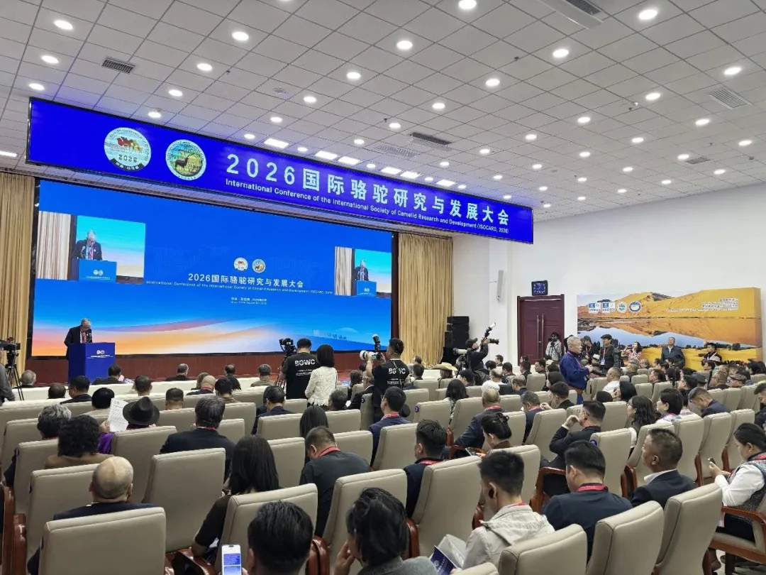 图片 4.png