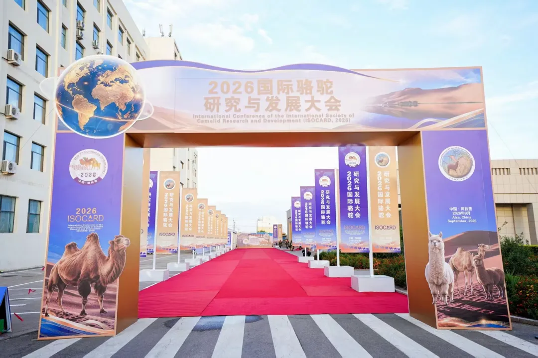 1789548880963629.png 图片 3.png