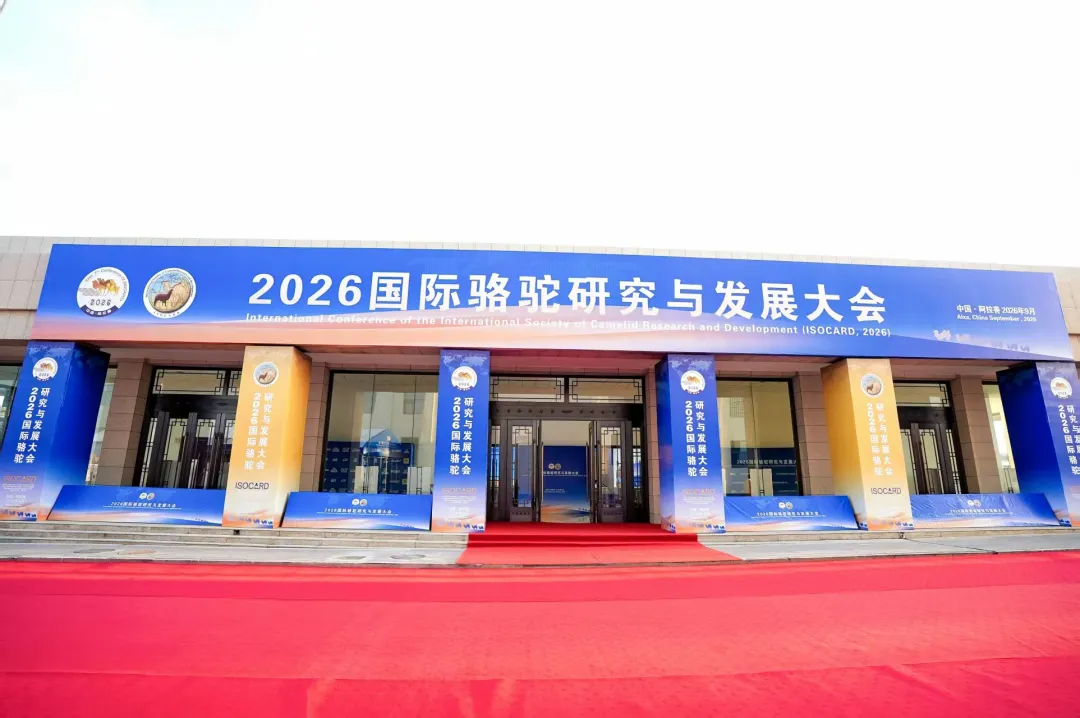 图片 2.png
