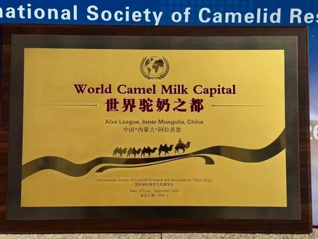图片 8.png